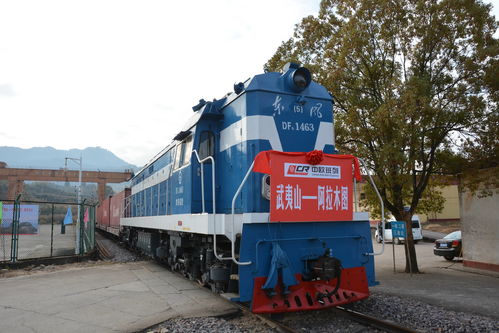 全球復(fù)蘇前景仍不確定，中國(guó)經(jīng)濟(jì)穩(wěn)定器作用凸顯——以道路貨物運(yùn)輸為觀察視角